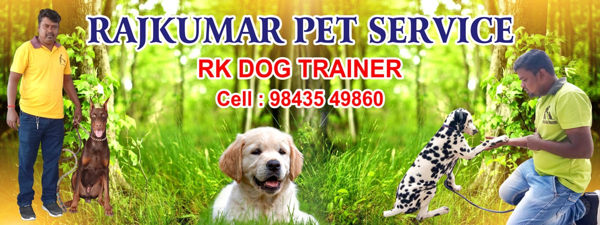 dog training coimbatore